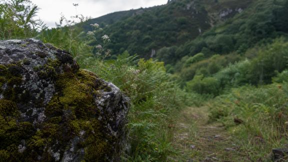 Top 7 des parcs naturels français à explorer hors des sentiers battus