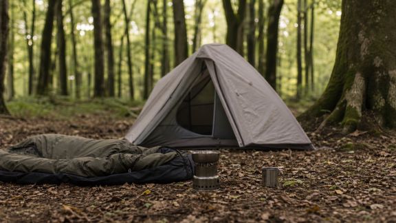 Voyage nature : astuces pour un bivouac réussi en pleine forêt