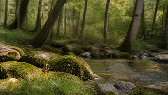 Destinations nature : où partir pour se ressourcer loin de la foule